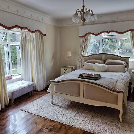 Rooms At Ballysax House The Curragh 外观 照片