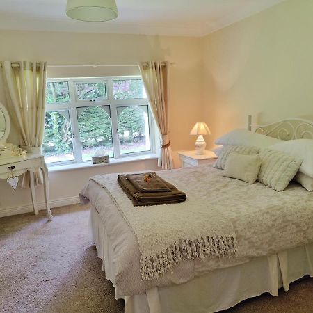 Rooms At Ballysax House The Curragh 外观 照片